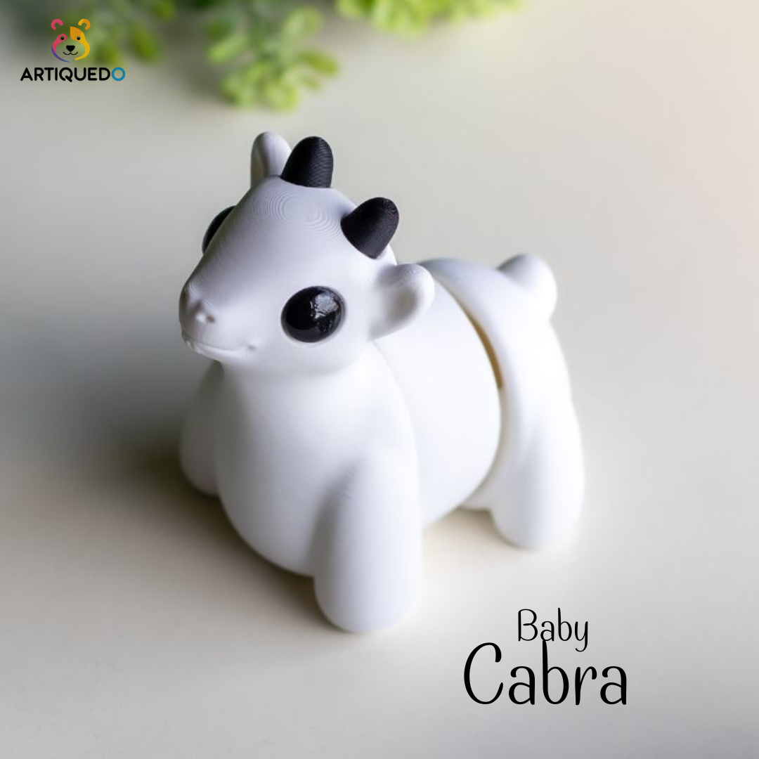 Baby Cabra